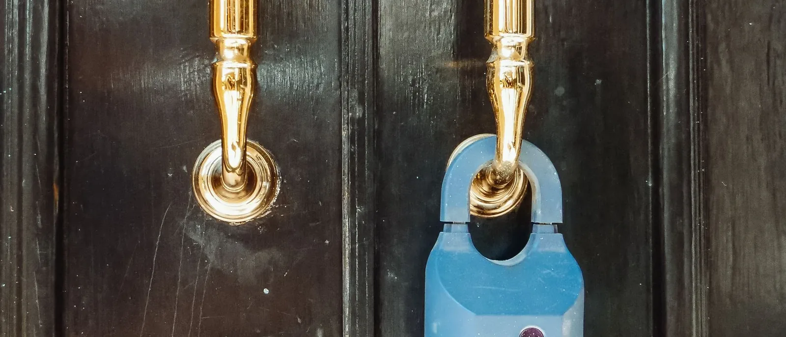 A row of terraced front doors on a residential street