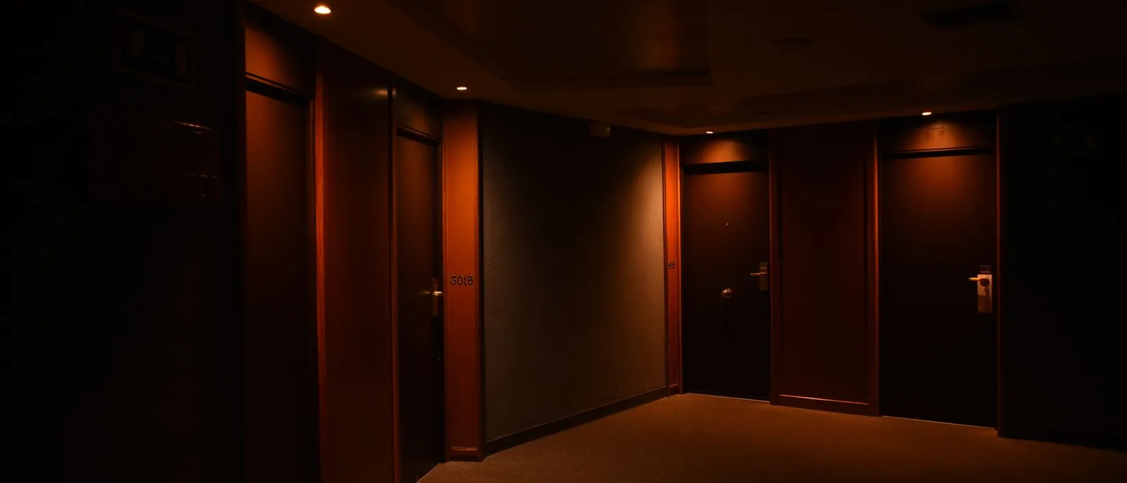 A dim corridor lined with doors
