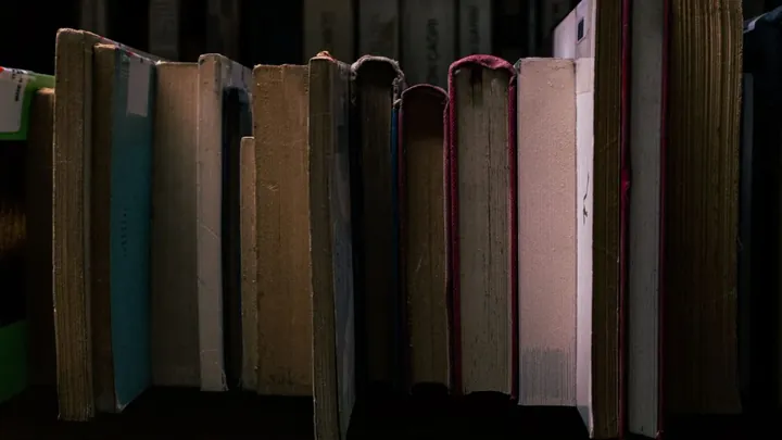 A row of language dictionaries