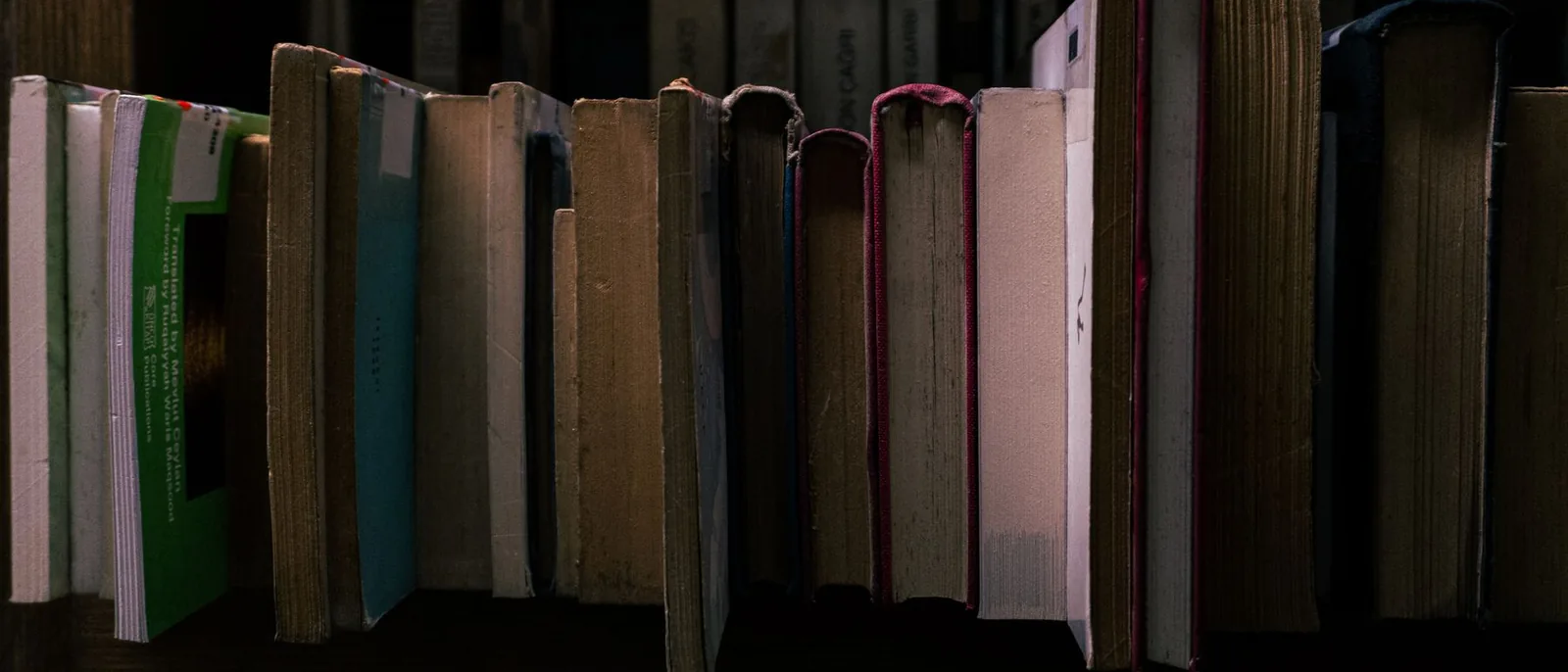 A row of language dictionaries