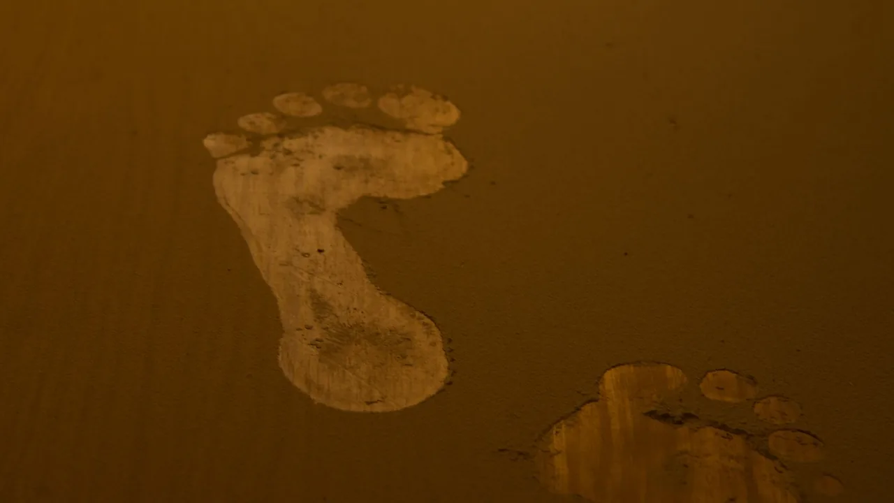 Following a trail is the easy part. Whether the next print belongs to the same foot is the question this whole method turns on.