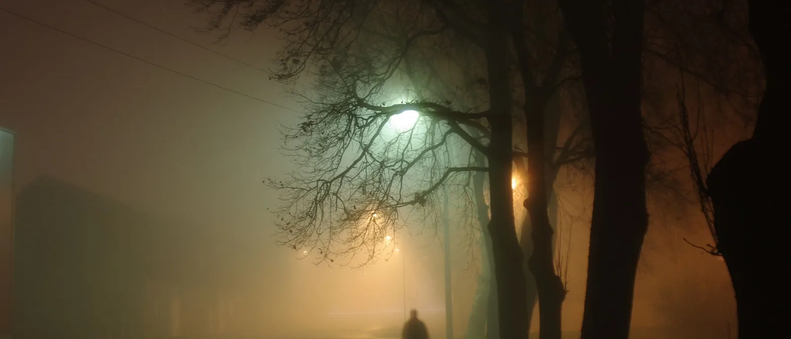 A figure in fog under a streetlight